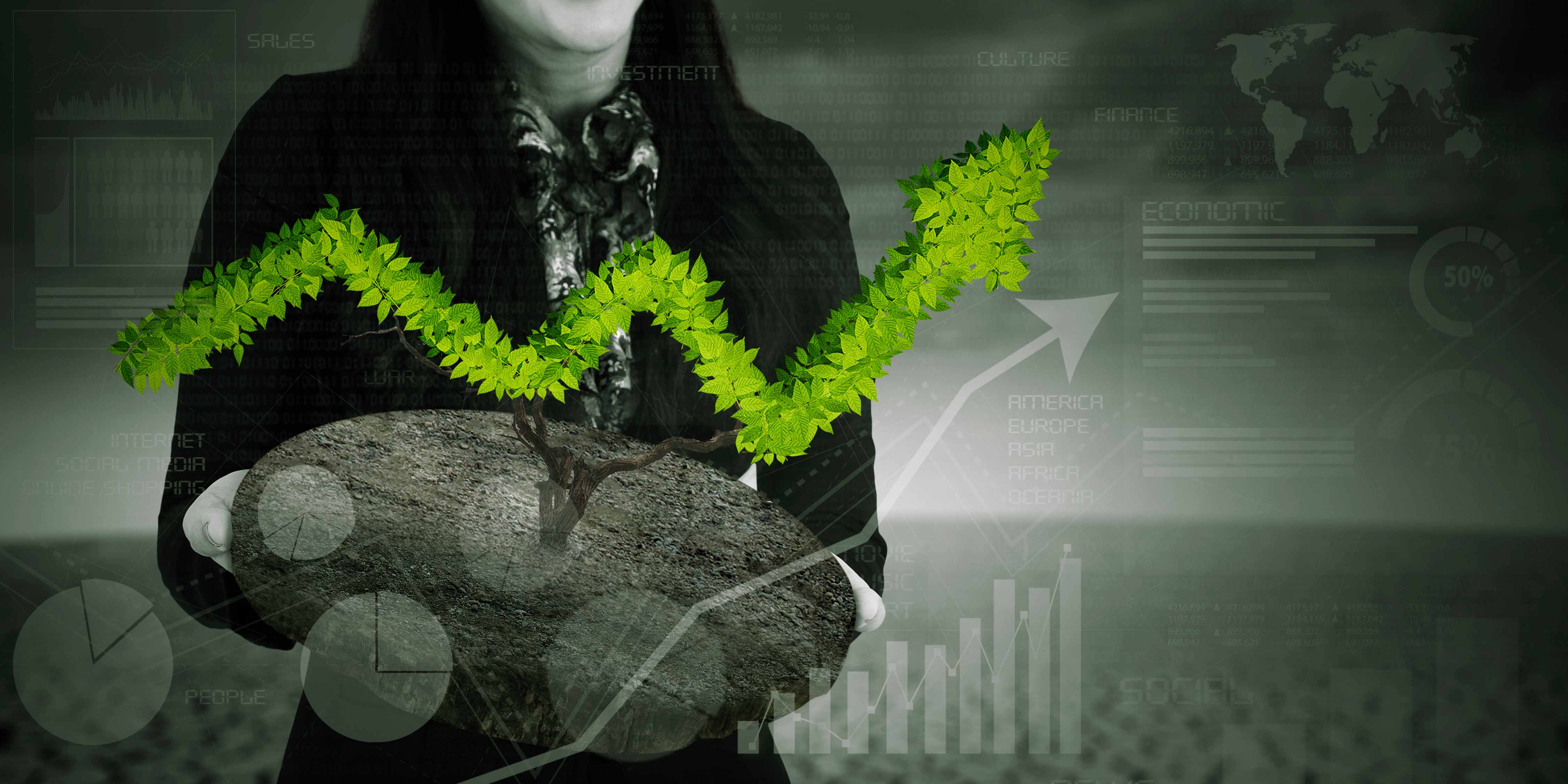 Законы рынка и их влияние на бизнес